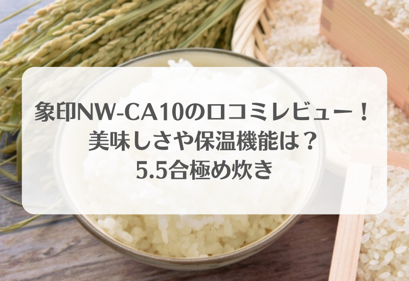 素晴らしい外見 象印 5.5合炊き 炊飯器 圧力IH炊飯ジャー 極め炊き NW